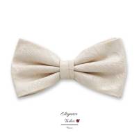 Nos prestations sur le secteur de Le Lavandou